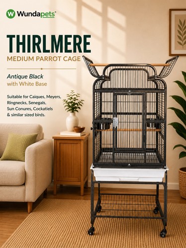 Wundapets thirlmere medium - thirlmere,