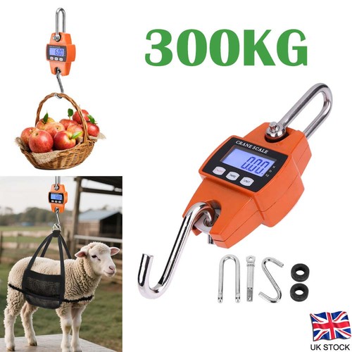Mini crane scale weight - scale, 300kg