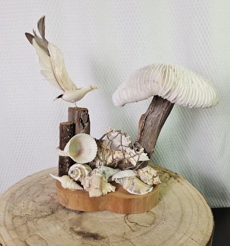 Vtg beach nautical sea - vtg,