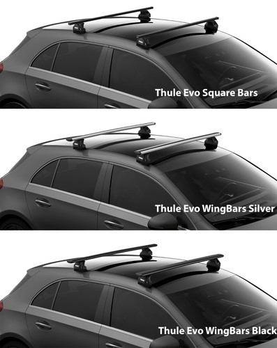 Thule roof rack - roof,