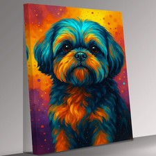 Shi Tzu Dog  Abstract Splash
