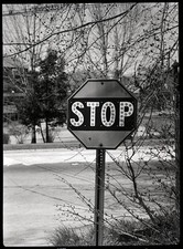 View of a stop sign along the