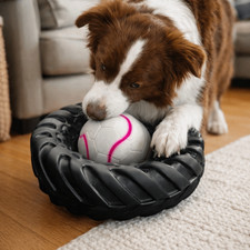 Elasticity Tire-Shaped Dog Toy
