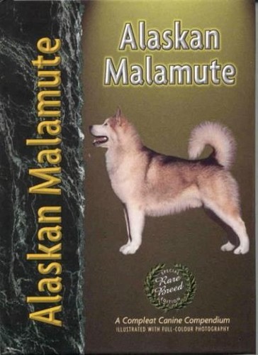 Alaskan malamute pet - malamute, (pet
