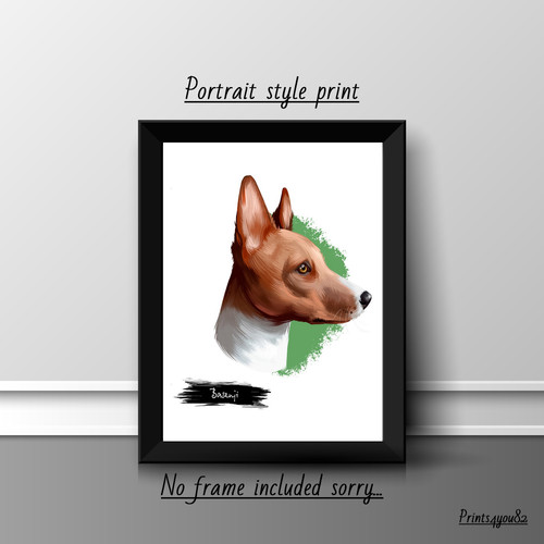 Basenji dog pet - basenji,