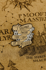 Harry Potter I Solemnly Swear