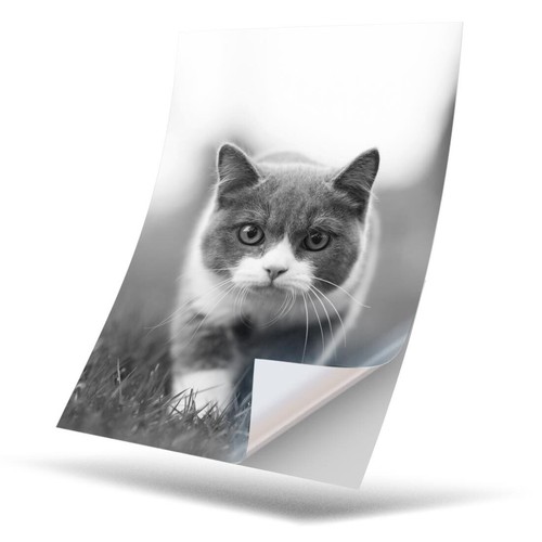 Vinyl sticker bw - x,