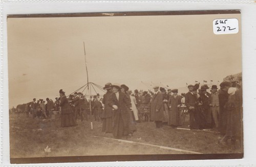 Said hambledon races - be,