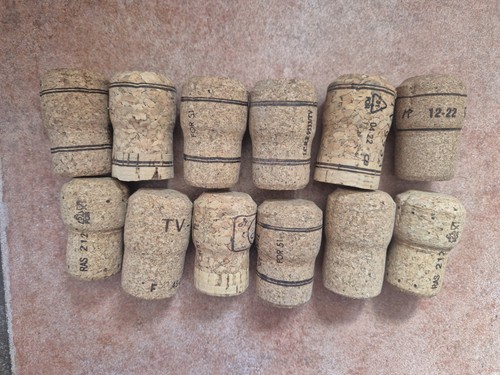 100 used champagne - x,