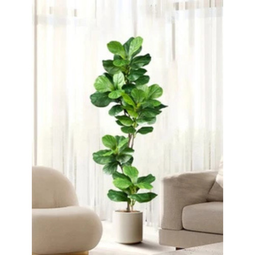 Artificial ficus tree - artificial,