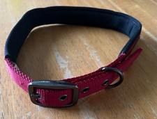 WAINWRIGHTS Neoprane Padded dog collar in Red.Size 52cm-66cm.Excellentcondition 