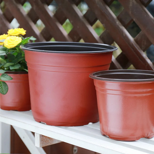 Plastic plant nursery pots - plant,