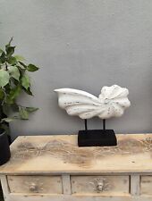 Large Nautilus Shell on stand