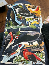 Vintage embossed die cut paper scraps MLP #1508 BIRDS