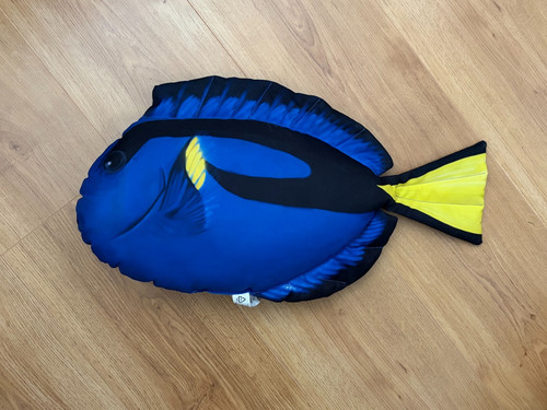 Gaby blue fish - gaby, &