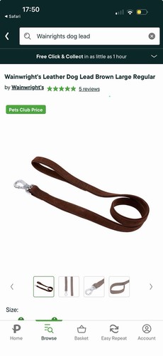 Wainwright leather dog - dog, lead
