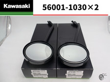 Kawasaki Genuine Rear view