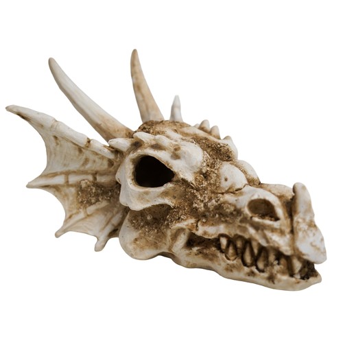 Betta dragon skull aquarium - betta,