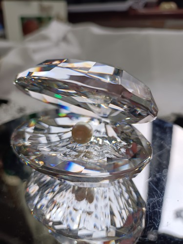 Swarovski crystal shell with - swarovski,