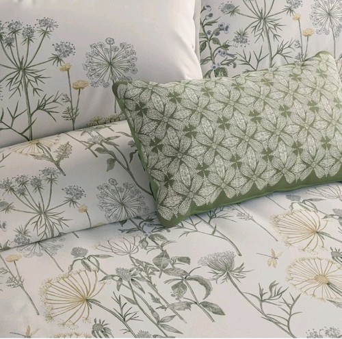 Sanderson wild angelica - sanderson,