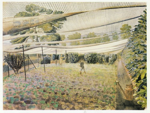 Strawberry nets eric ravilious - nets,