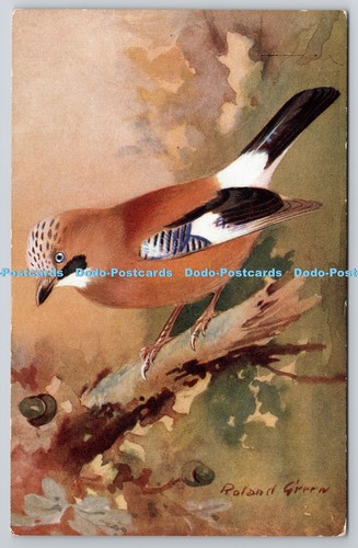 R764913 jay bird ruskin studio - r764913,