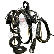 Padded Collar Black Leather