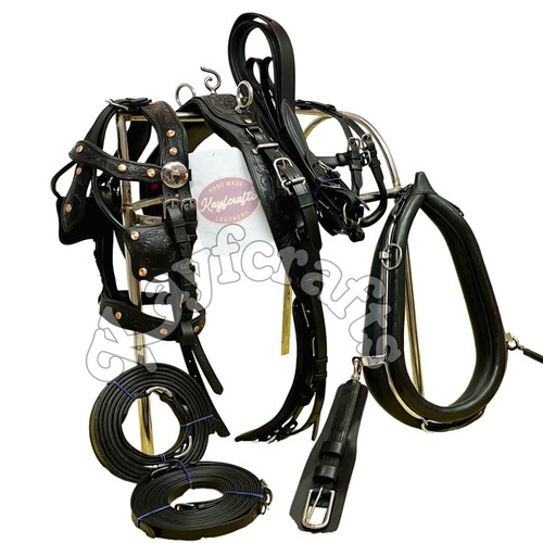 Padded collar black - collar, leather