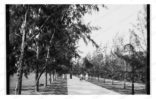 Palm beach florida bicycle - beach,