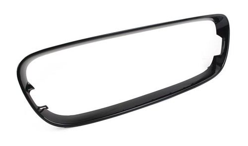 Jaguar type radiator grille - jaguar,