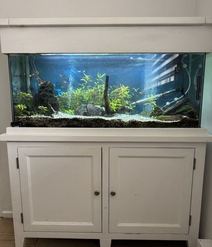 4ft glass freshwater - 4ft,