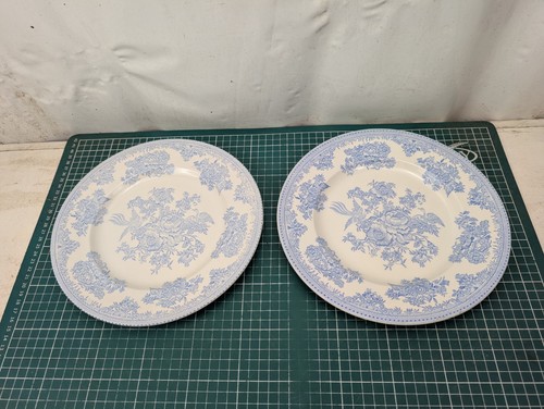 Burleigh pale blue asiatic - -,