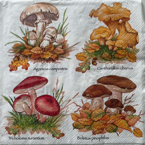 Luncheon paper napkins for - paper,