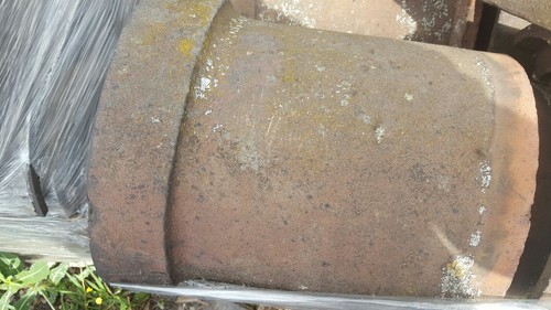 Reclaimed red brindle half - reclaimed, red/brindle