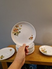 12 Side Plates And W Saucers