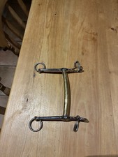 Neural Schulz Thoroughbred