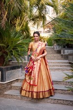 Party New Lehenga Indian