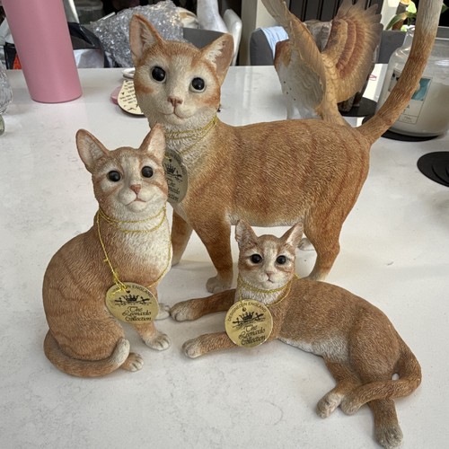 Leonardo collection cat - leonardo,