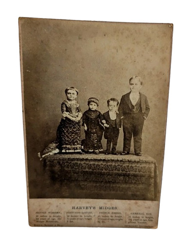 Harvey midges vintage - harvey’s,