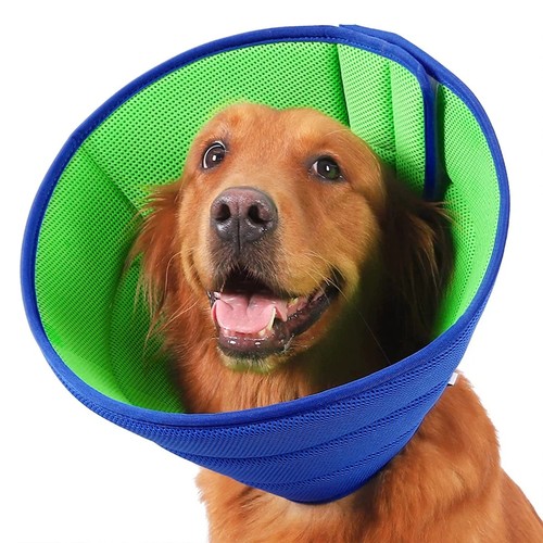 Soft dog cone - dog,