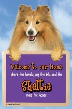 Sheltie dog Welcome to our
