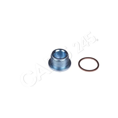 Blue print oil pan cap - print,