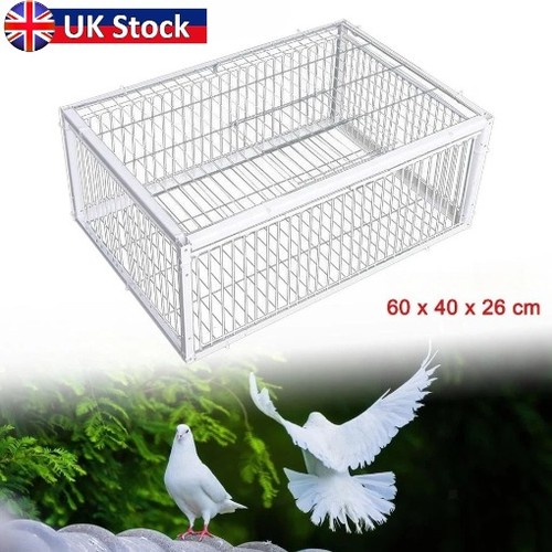 Pigeon trap cage single way - cage,