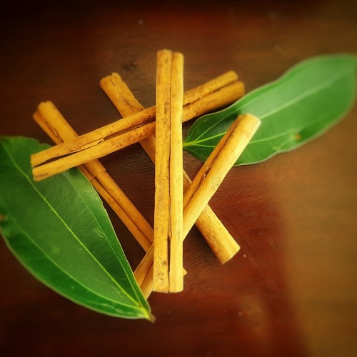 Ceylon cinnamon sticks high - ceylon,