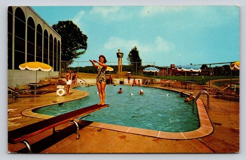 Chrome pool diving board - chrome,