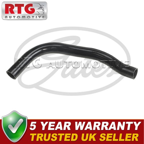 Lower radiator coolant - radiator, hose