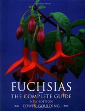 Fuchsias By Edwin Goulding
