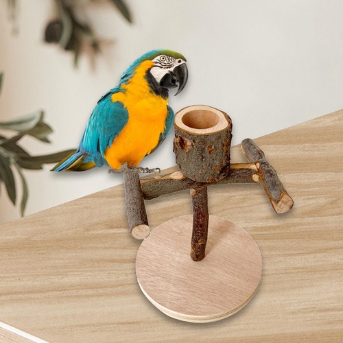 Wooden perch toy - toy, climbing