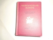 Wayside and Woodland Blossoms