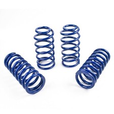 Lowering Springs For Ford
